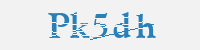 보안문자
